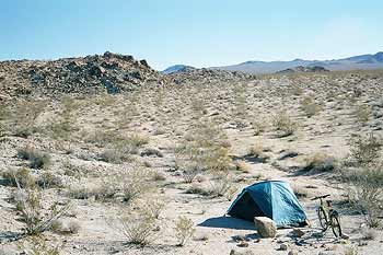 Campsite off Kelbaker Road