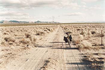 Unmarked road connecting Primm with Nipton-Desert Road