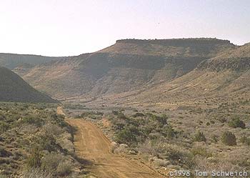 Looking South on Wild Horse Canyon Road